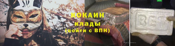 хмурый Белокуриха