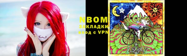 хмурый Белокуриха