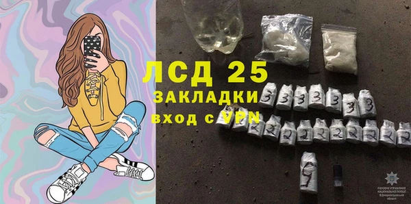 хмурый Белокуриха