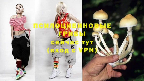 каннабис Баксан