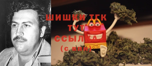 СК Балахна