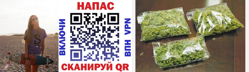 Конопля гибрид  Пионерский 
